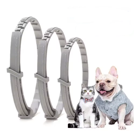 Safe & Effective Pest Control for Pets