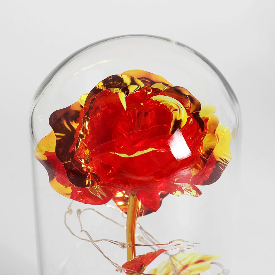 Rose de la galaxie enchantée