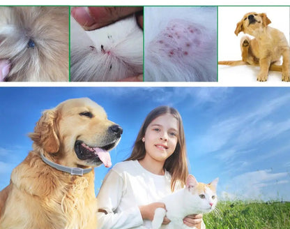 Safe & Effective Pest Control for Pets