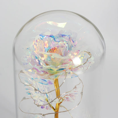 Enchanted Galaxy Rose