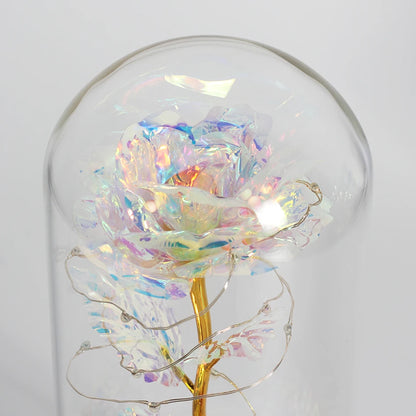 Enchanted Galaxy Rose