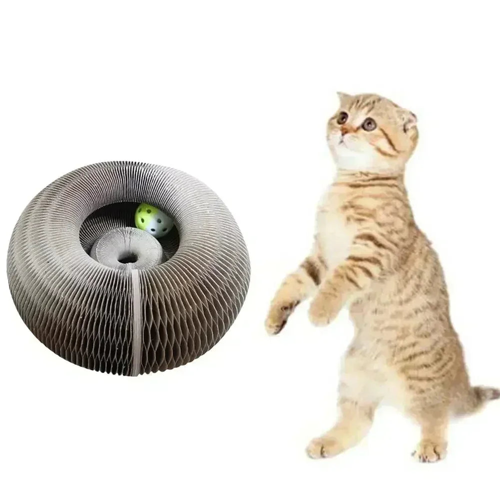 Tablero rascador plegable para gatos con forma de órgano mágico, juguete con cascabel, garra para gatos, marco de escalada para gatos, juguetes interactivos redondos de cartón corrugado