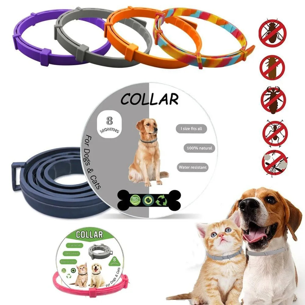 Safe & Effective Pest Control for Pets