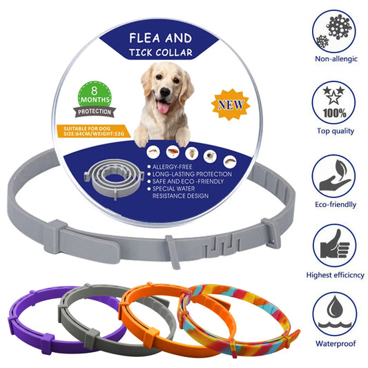 Safe & Effective Pest Control for Pets