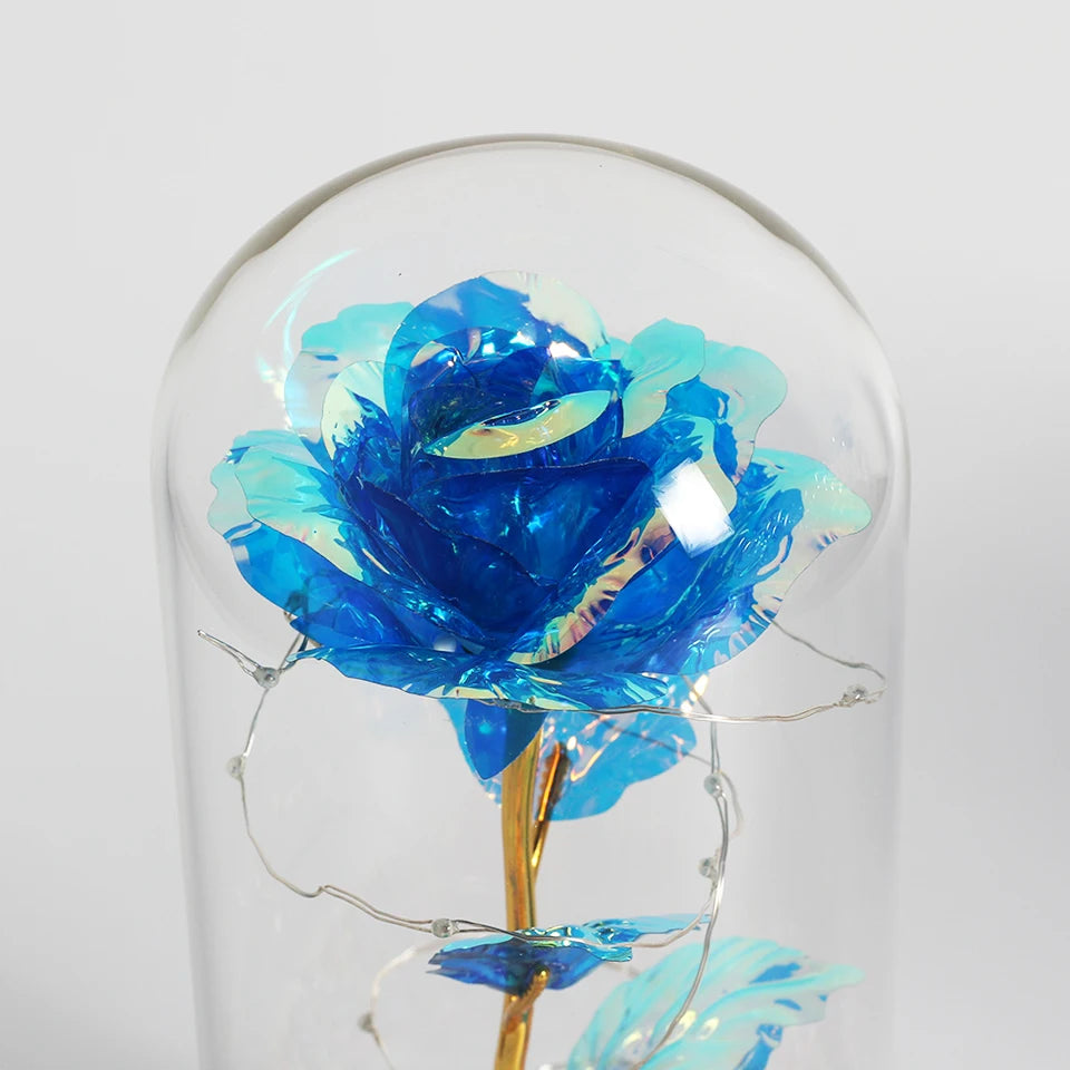 Enchanted Galaxy Rose