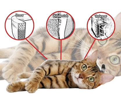 Safe & Effective Pest Control for Pets