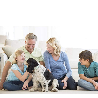 Safe & Effective Pest Control for Pets